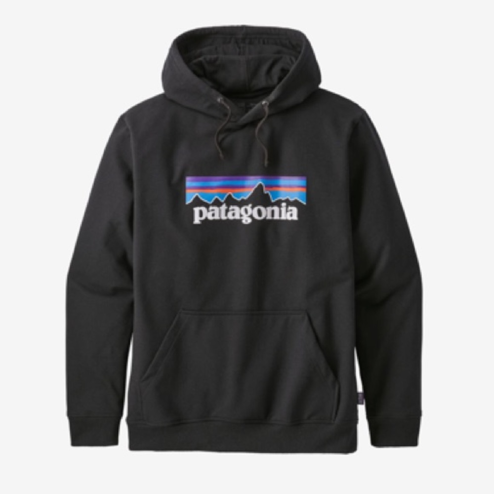Patagonia sweatshirt